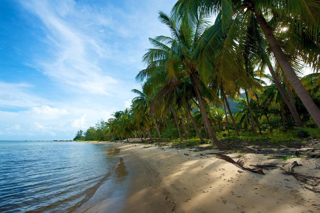 Bãi Cây Mến ở hòn Lớn cũng như những bãi tắm lớn nhỏ khác trong đảo Nam Du vẫn chưa nhiều dấu chân du khách, nên biển nơi đây rất hoang sơ.