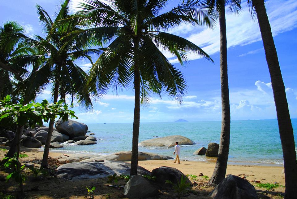 Quanh đảo được bao phủ bằng những rặng dừa xanh ngút ngàn, cảnh sắc êm đềm, thơ mộng.